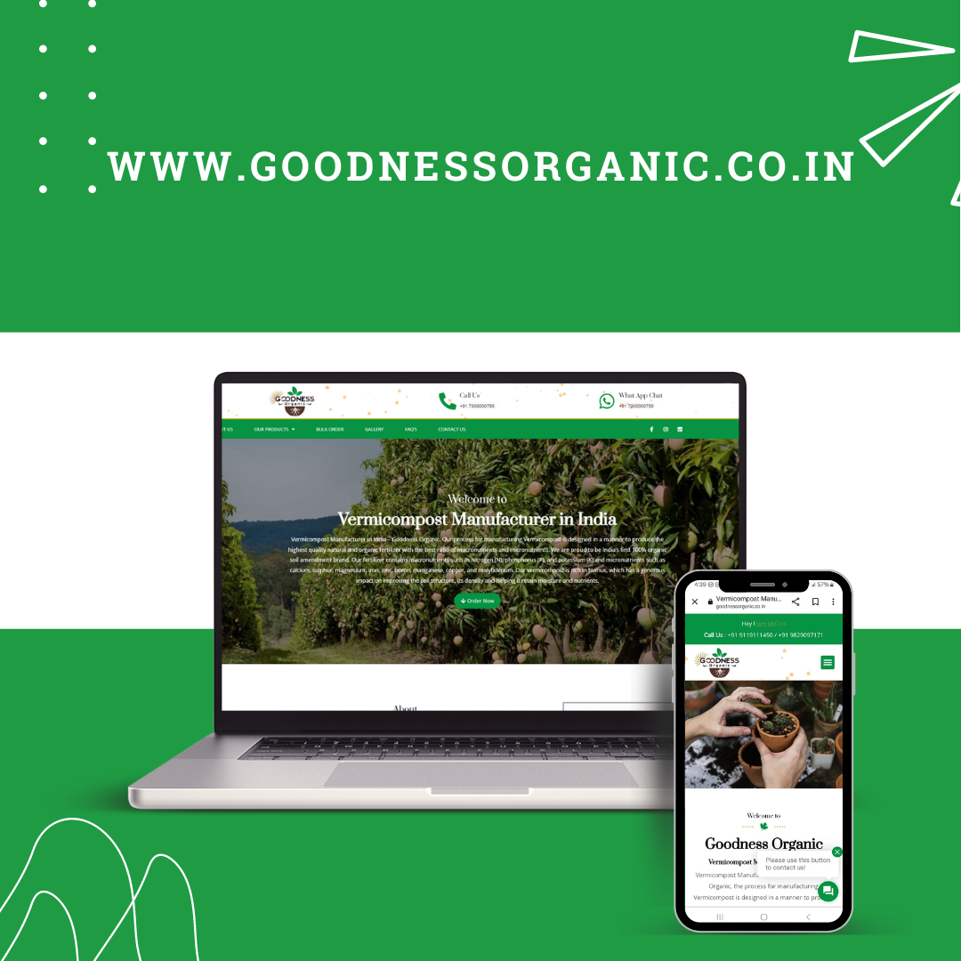 website development company in jodhpur